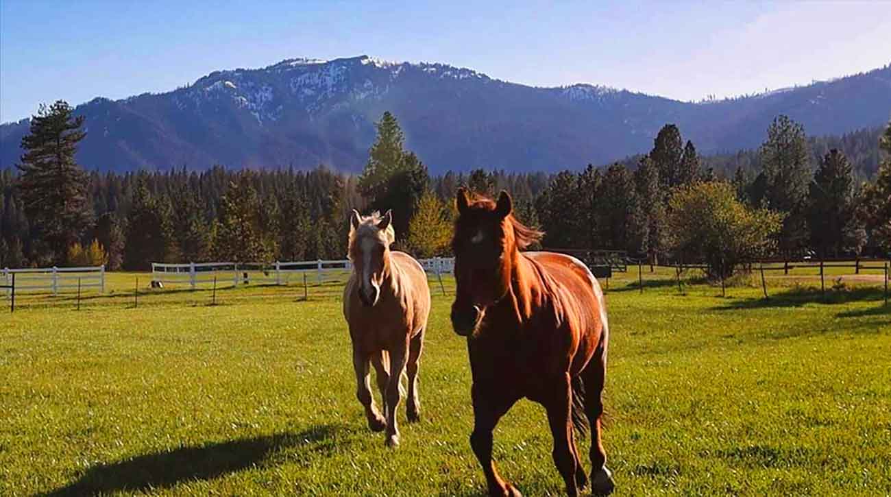 Garden Valley Real Estate