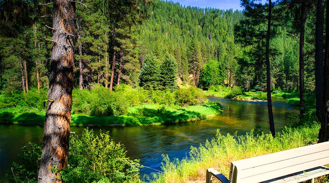 Garden Valley Real Estate