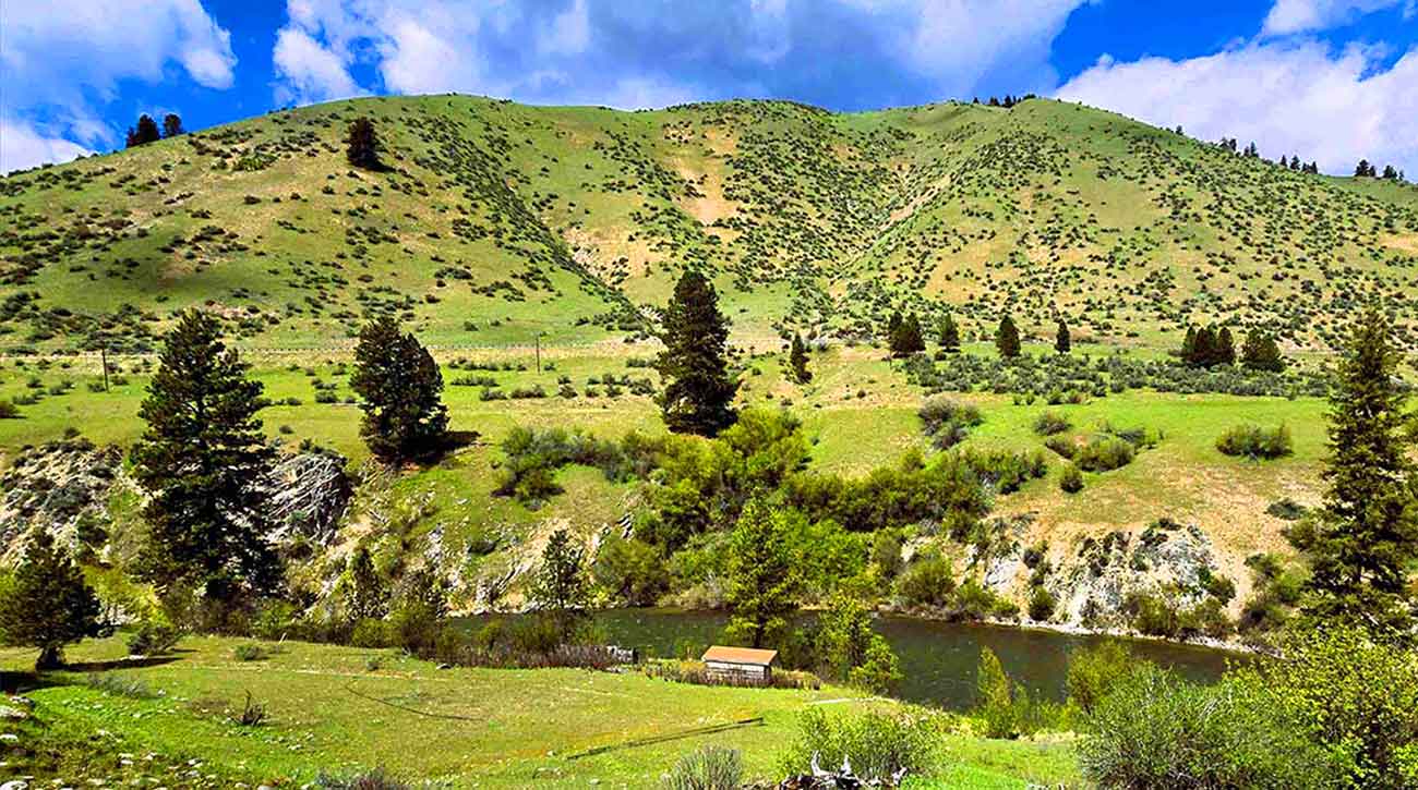 Garden Valley Real Estate