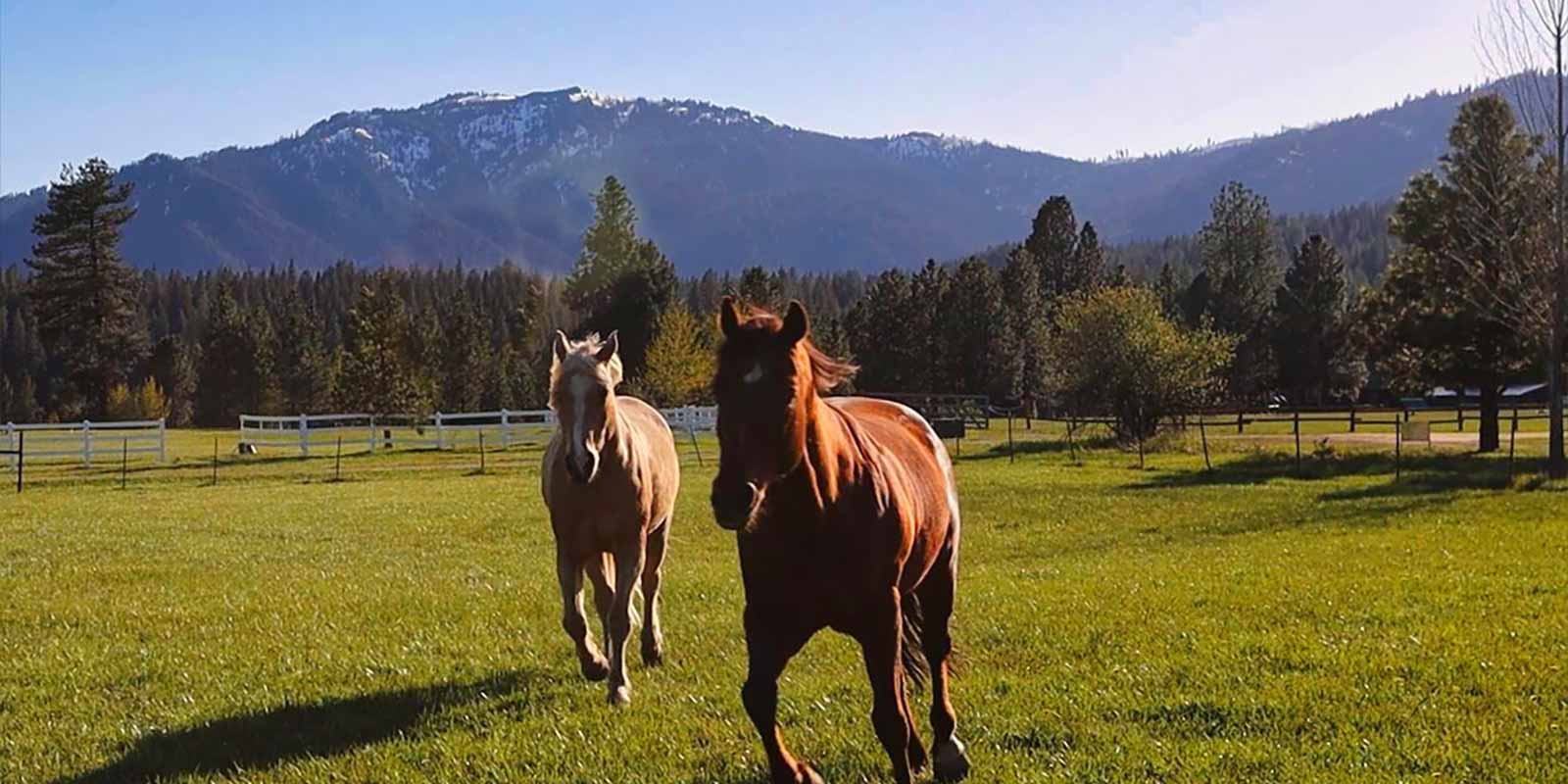 Garden Valley Property