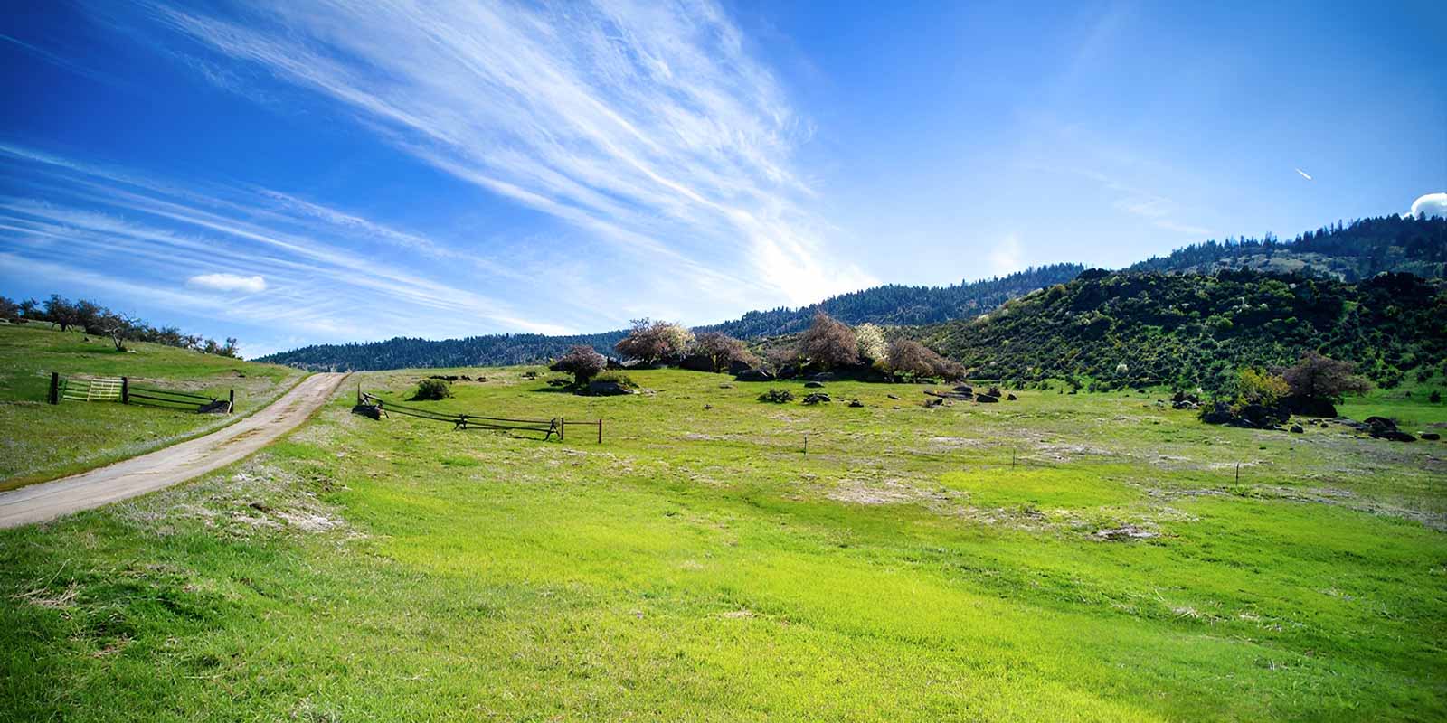 Garden Valley Property